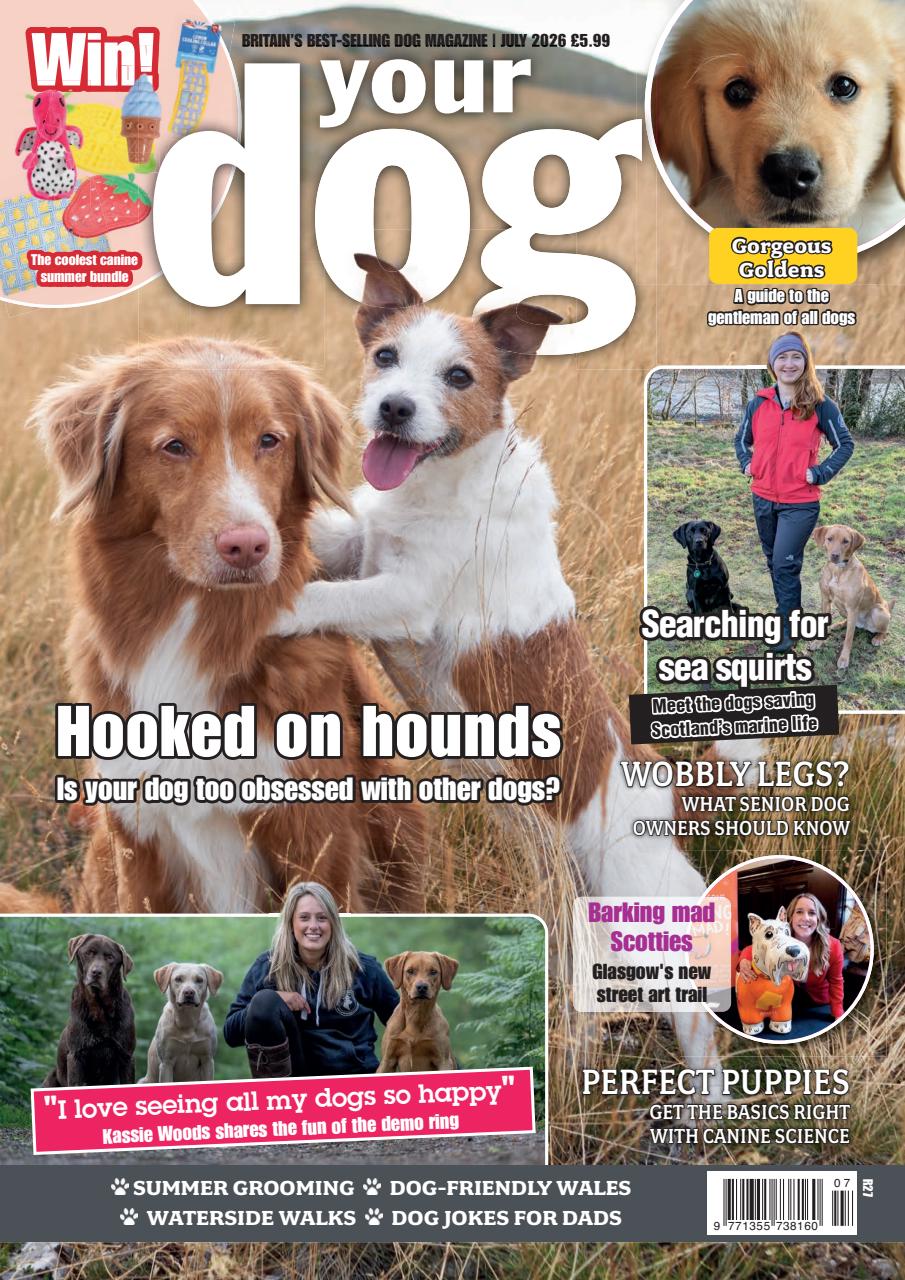 Your Dog Preview Pages