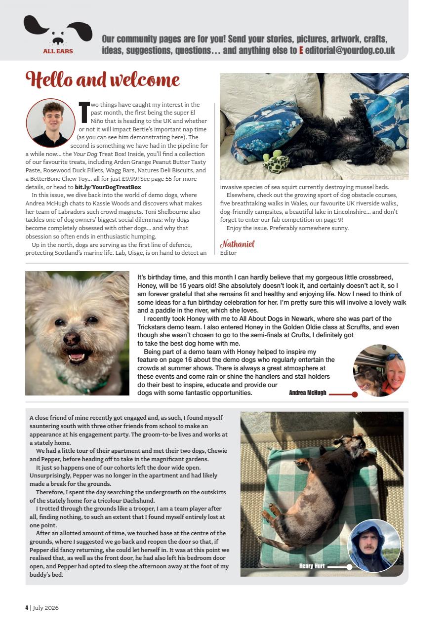 Your Dog Preview Pages
