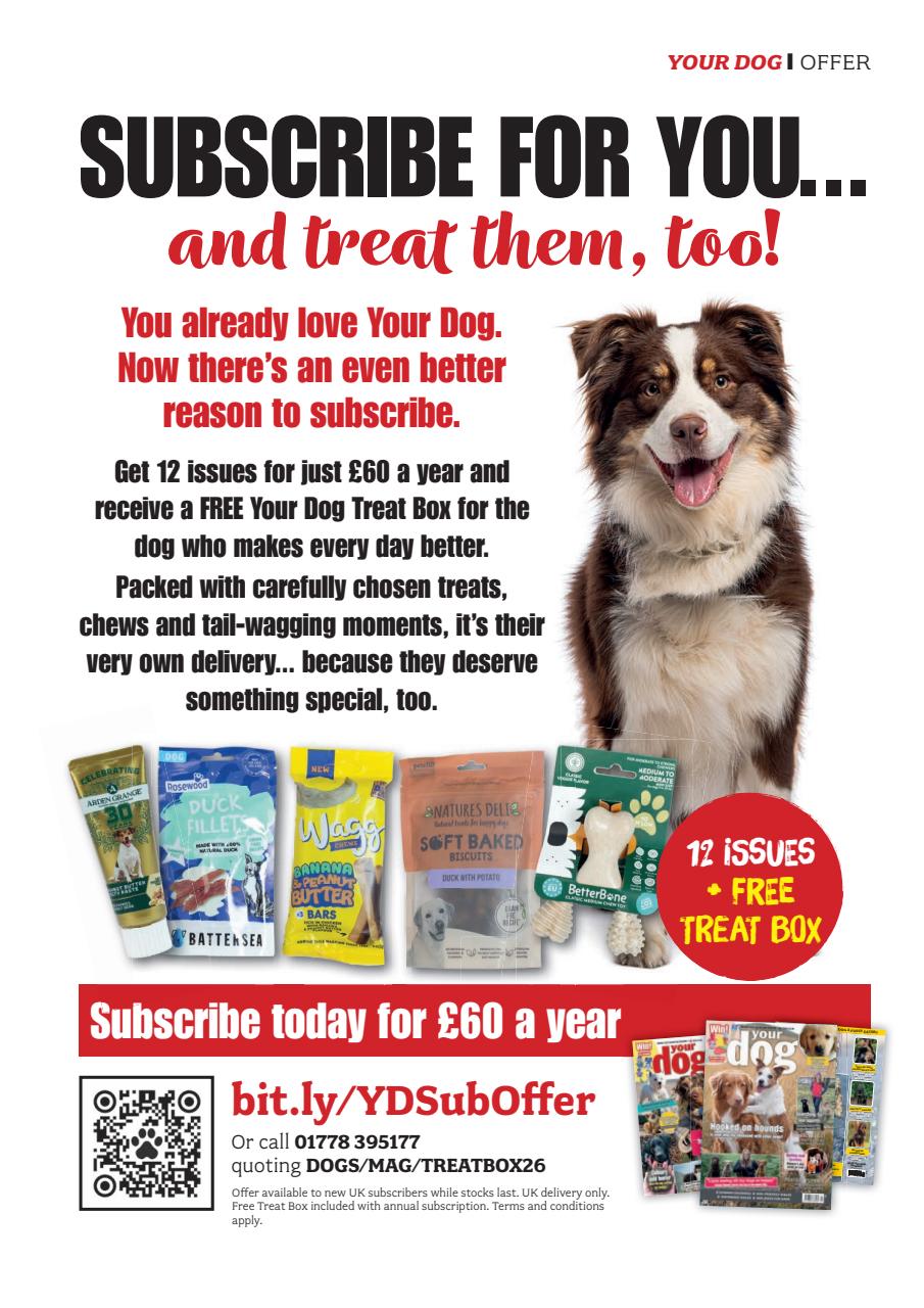 Your Dog Preview Pages