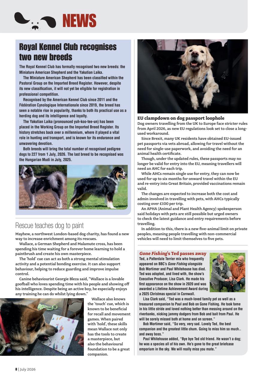Your Dog Preview Pages
