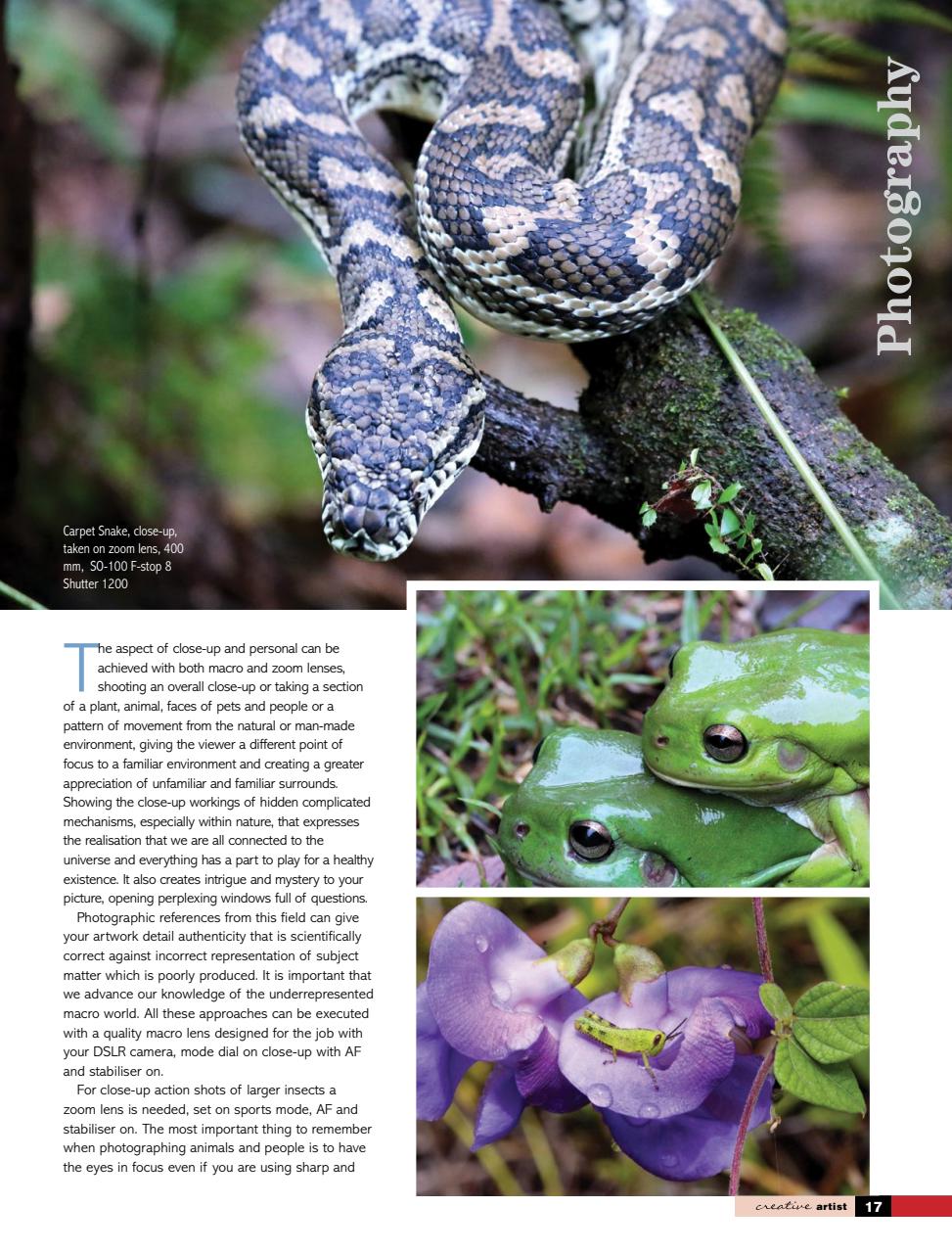 Creative Artist Preview Pages