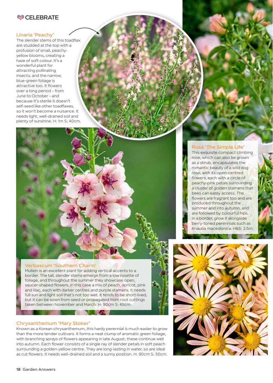 Garden Answers Preview Pages