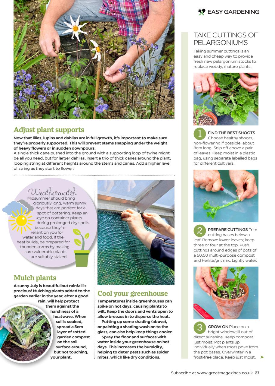 Garden Answers Preview Pages