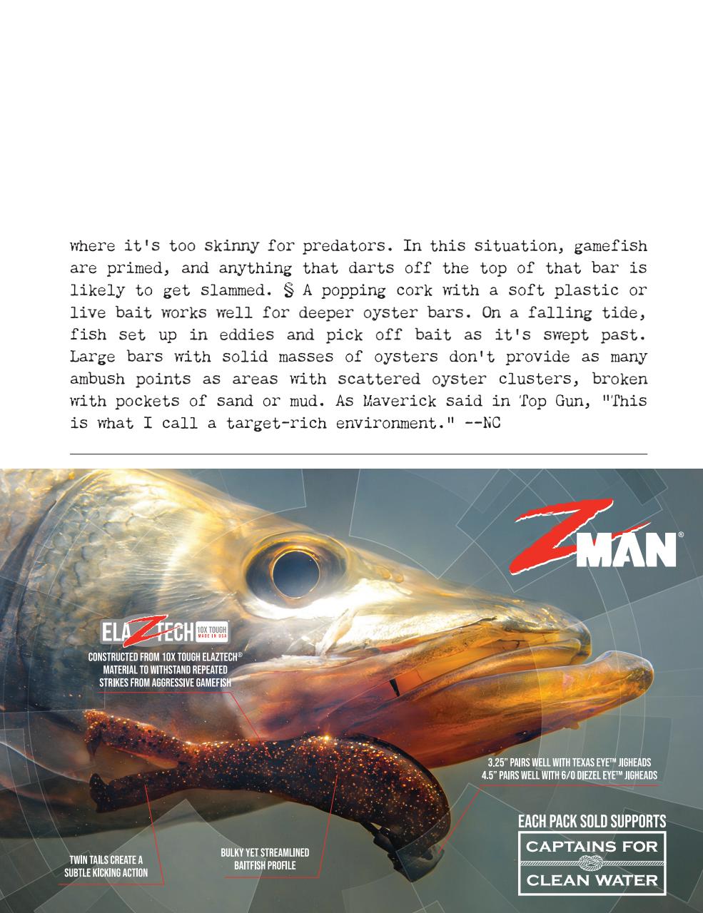 Saltwater Sportsman Preview Pages