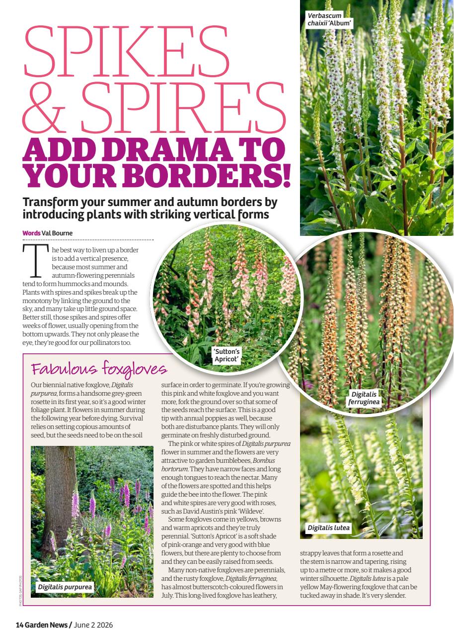 Garden News Preview Pages
