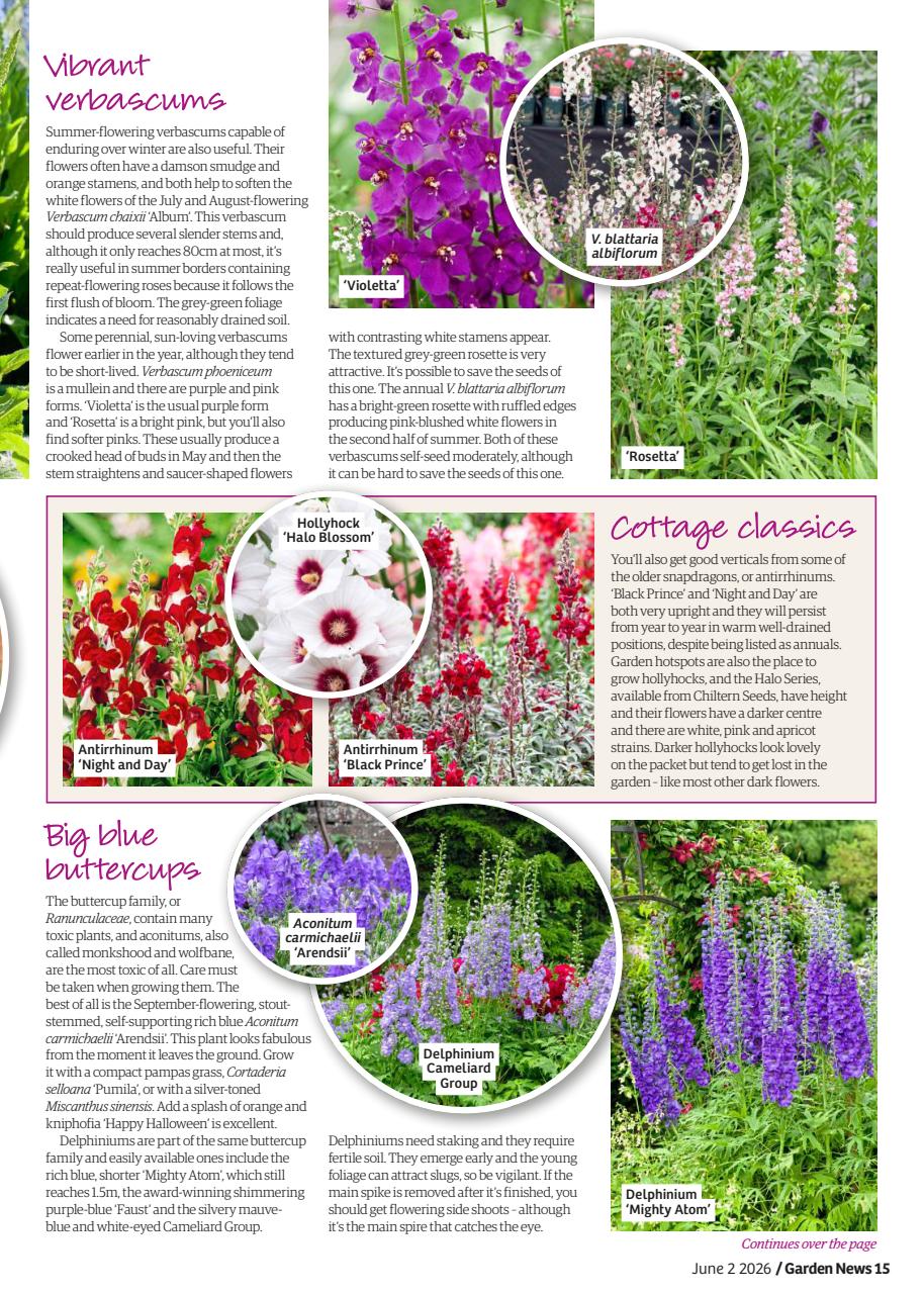 Garden News Preview Pages