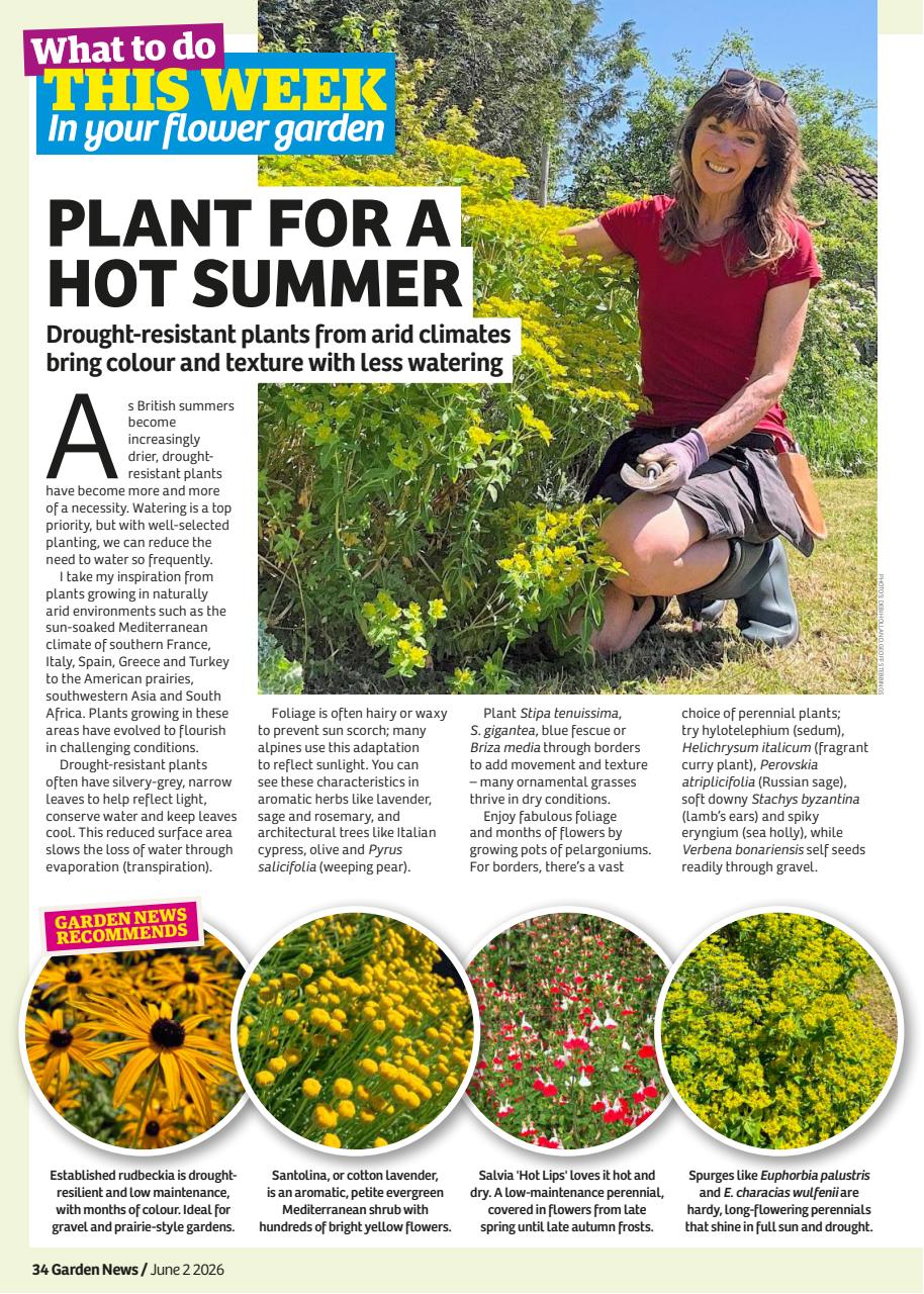 Garden News Preview Pages