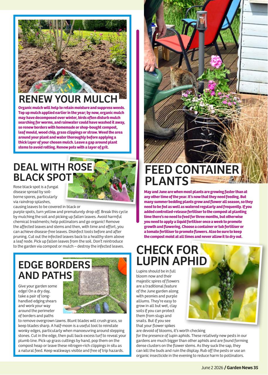 Garden News Preview Pages