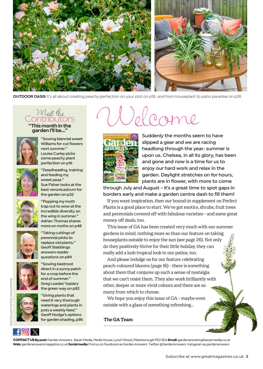 Garden Answers Preview Pages