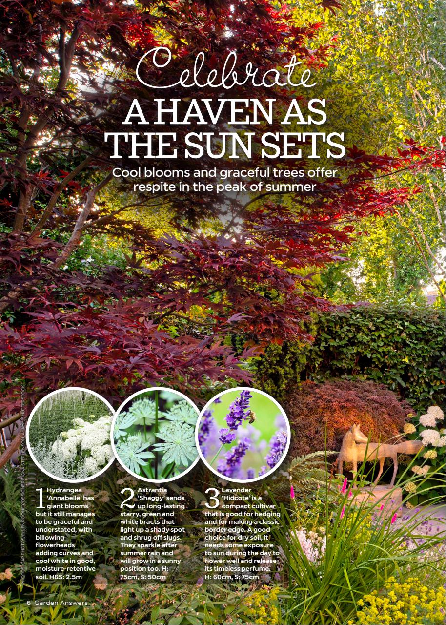 Garden Answers Preview Pages