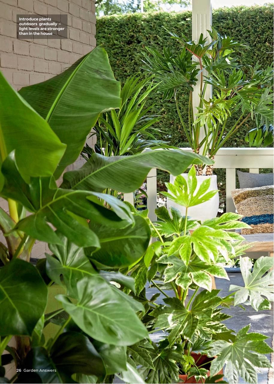 Garden Answers Preview Pages