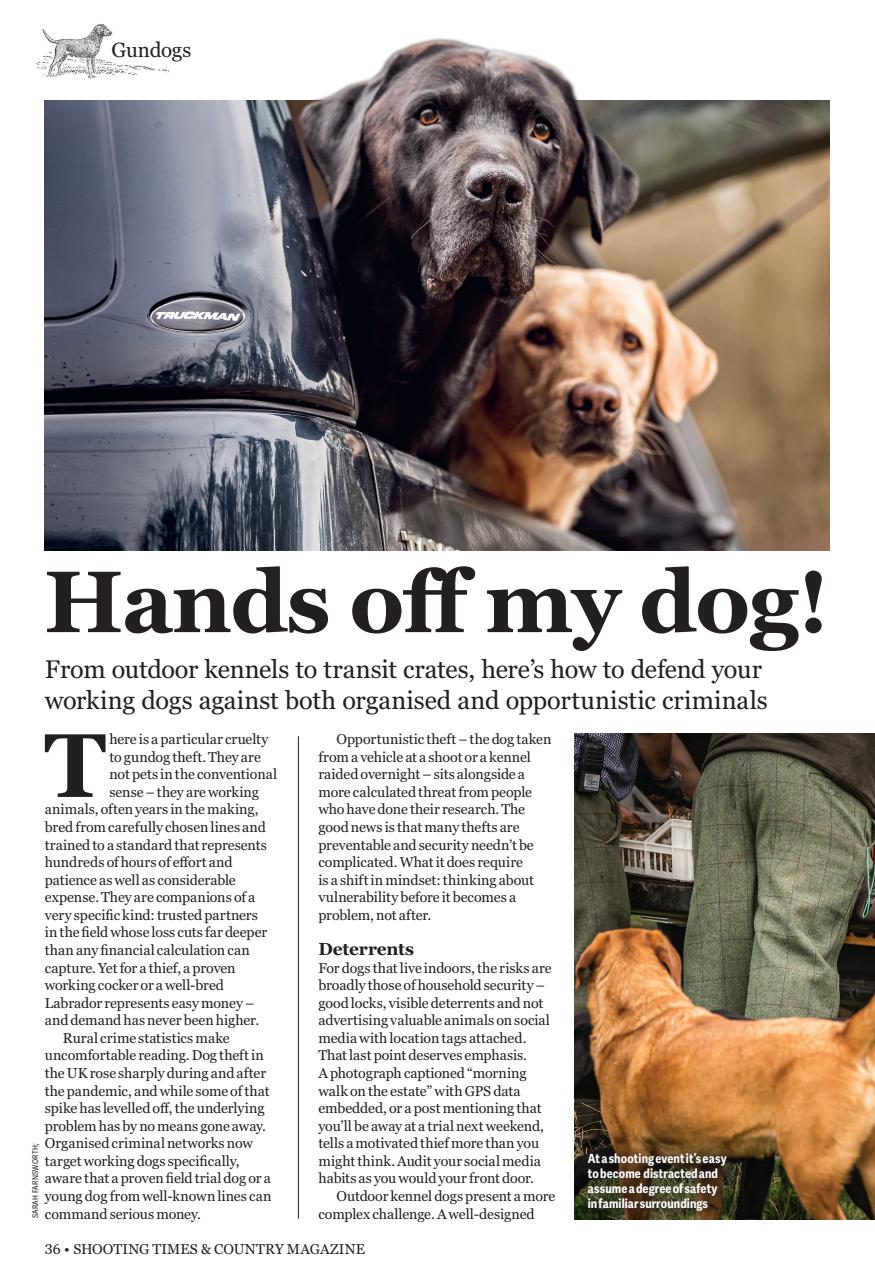 Shooting Times & Country Preview Pages