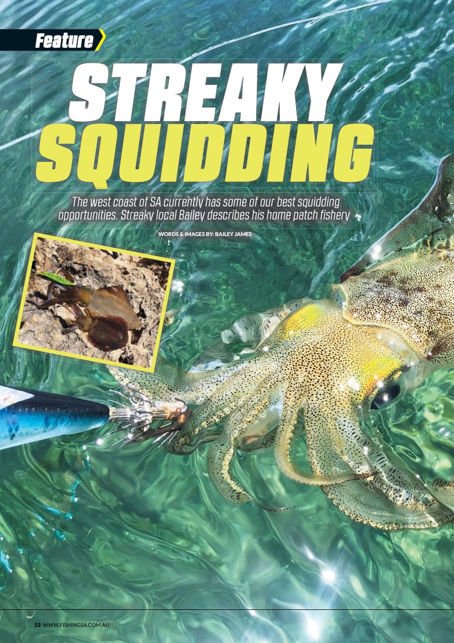 Fishing SA Preview Pages