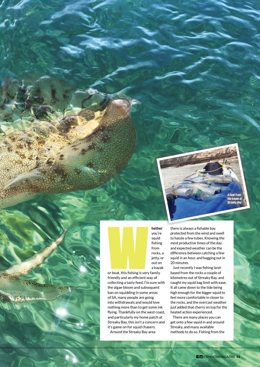 Fishing SA Preview Pages
