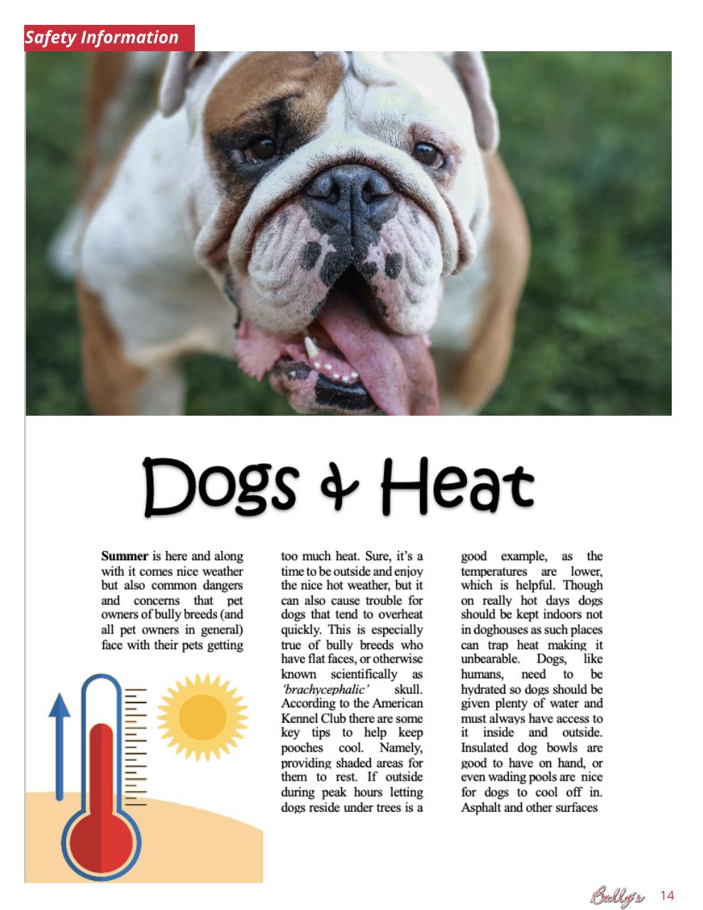 Bully’s - The Bulldog Magazine Preview Pages