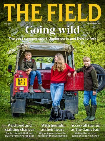 The Field issue July 2026