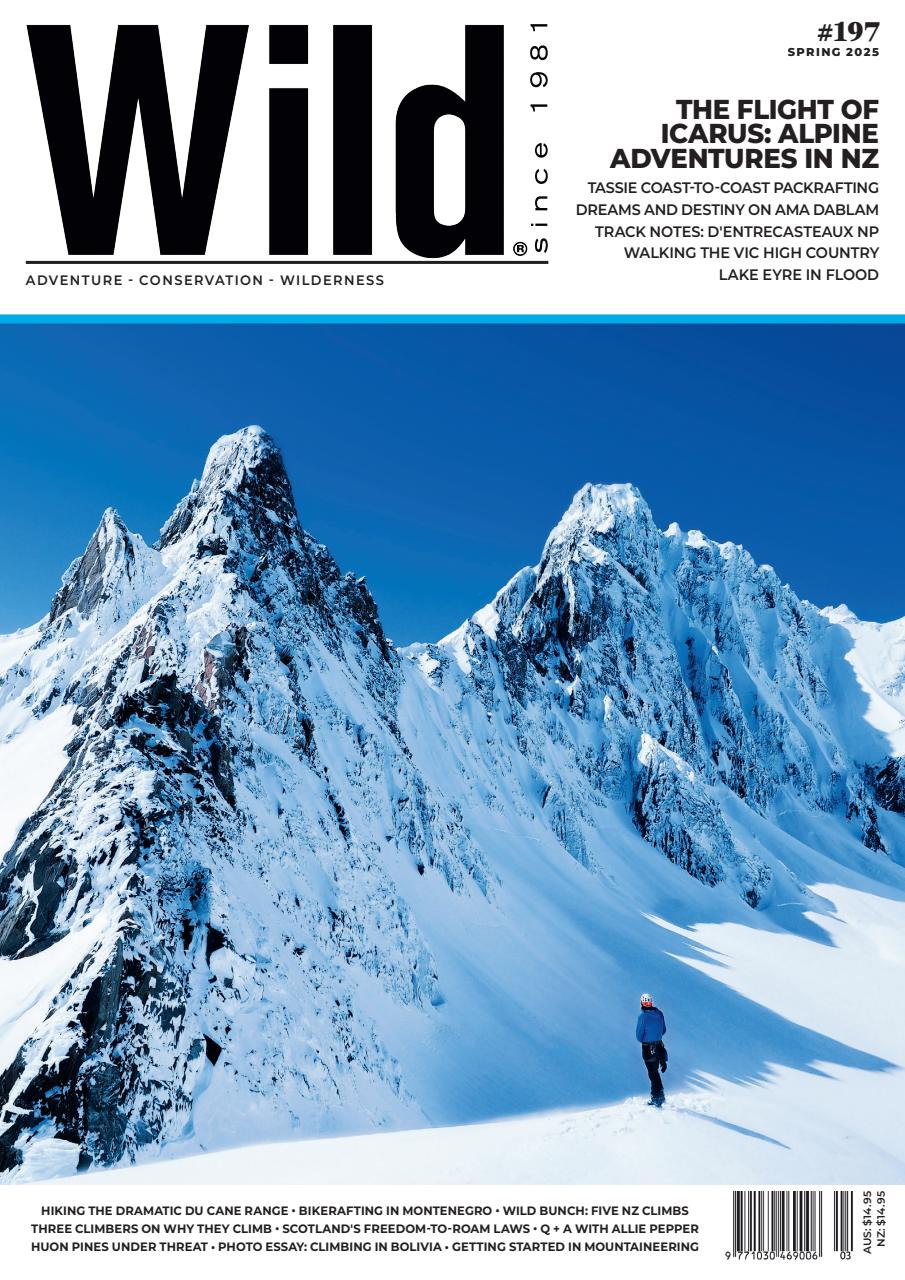 Wild Magazine Preview Pages