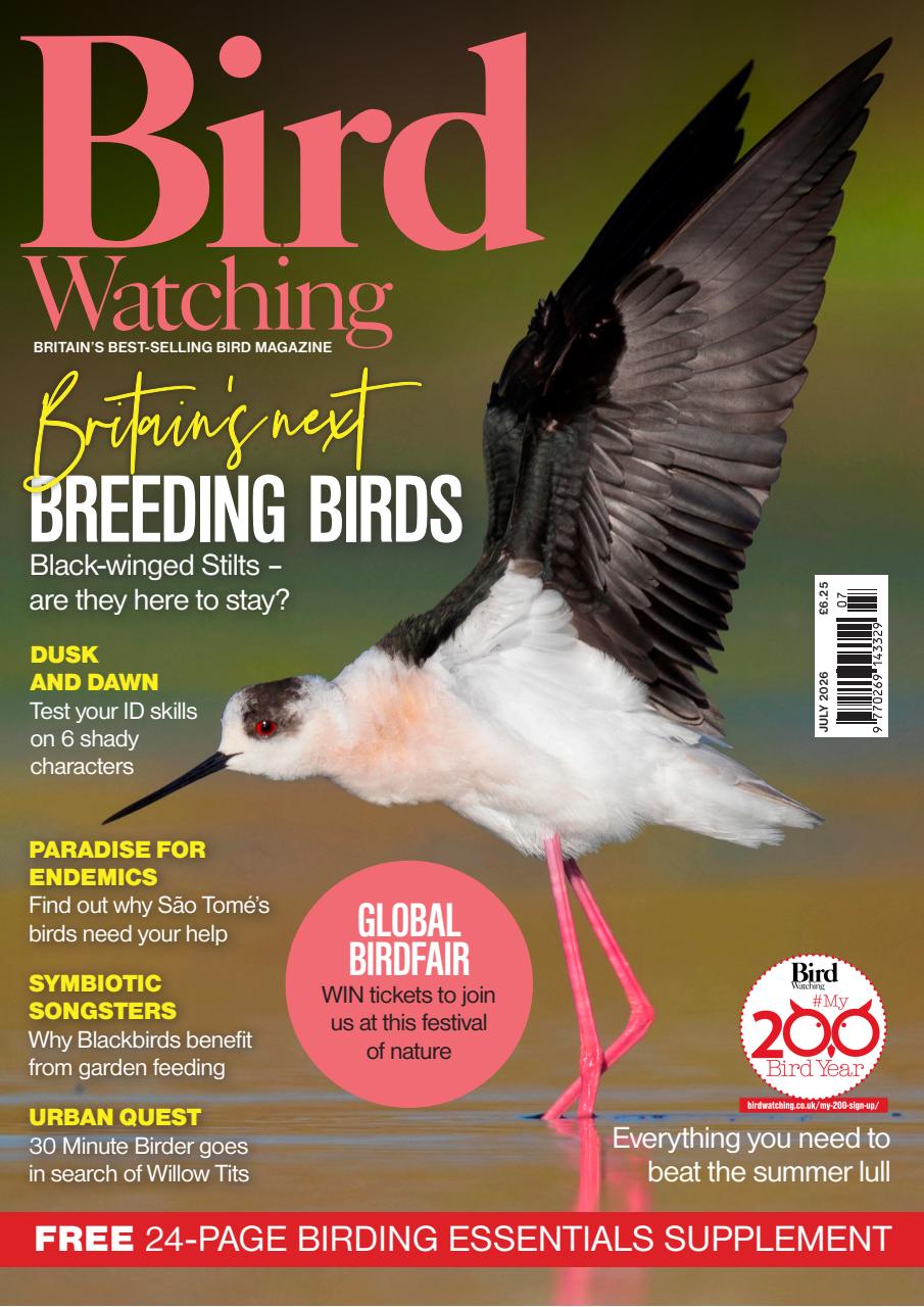 Bird Watching Preview Pages