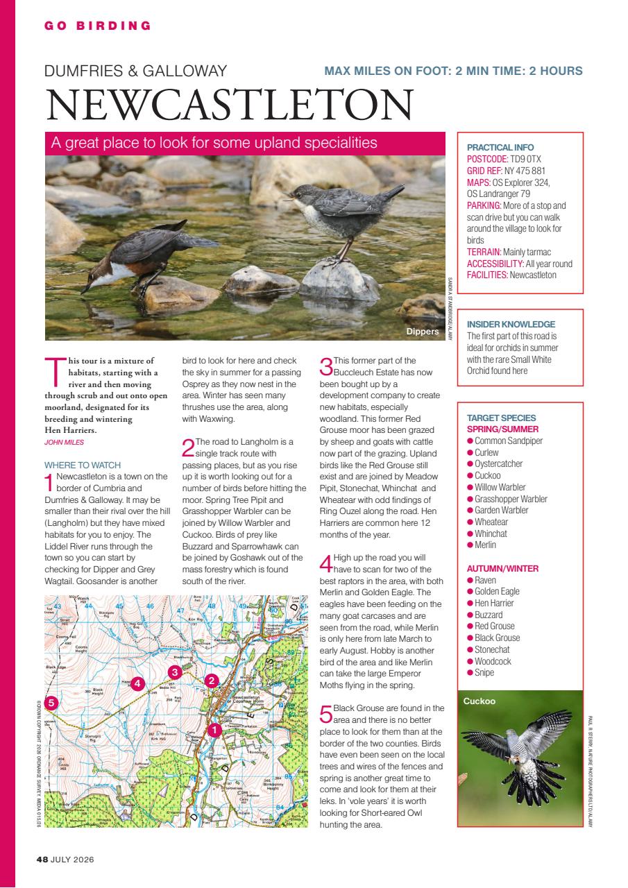 Bird Watching Preview Pages