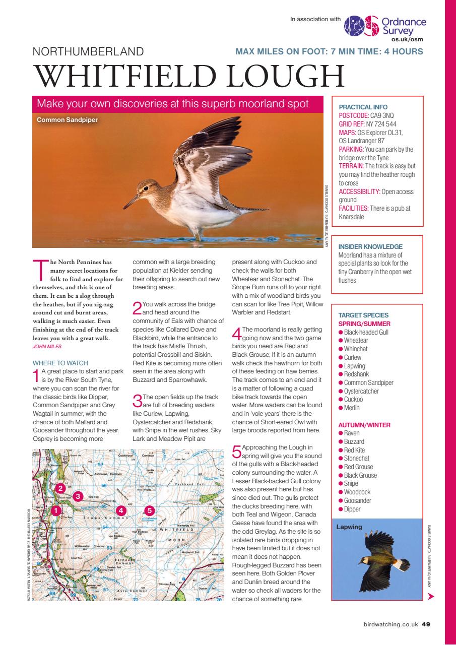 Bird Watching Preview Pages