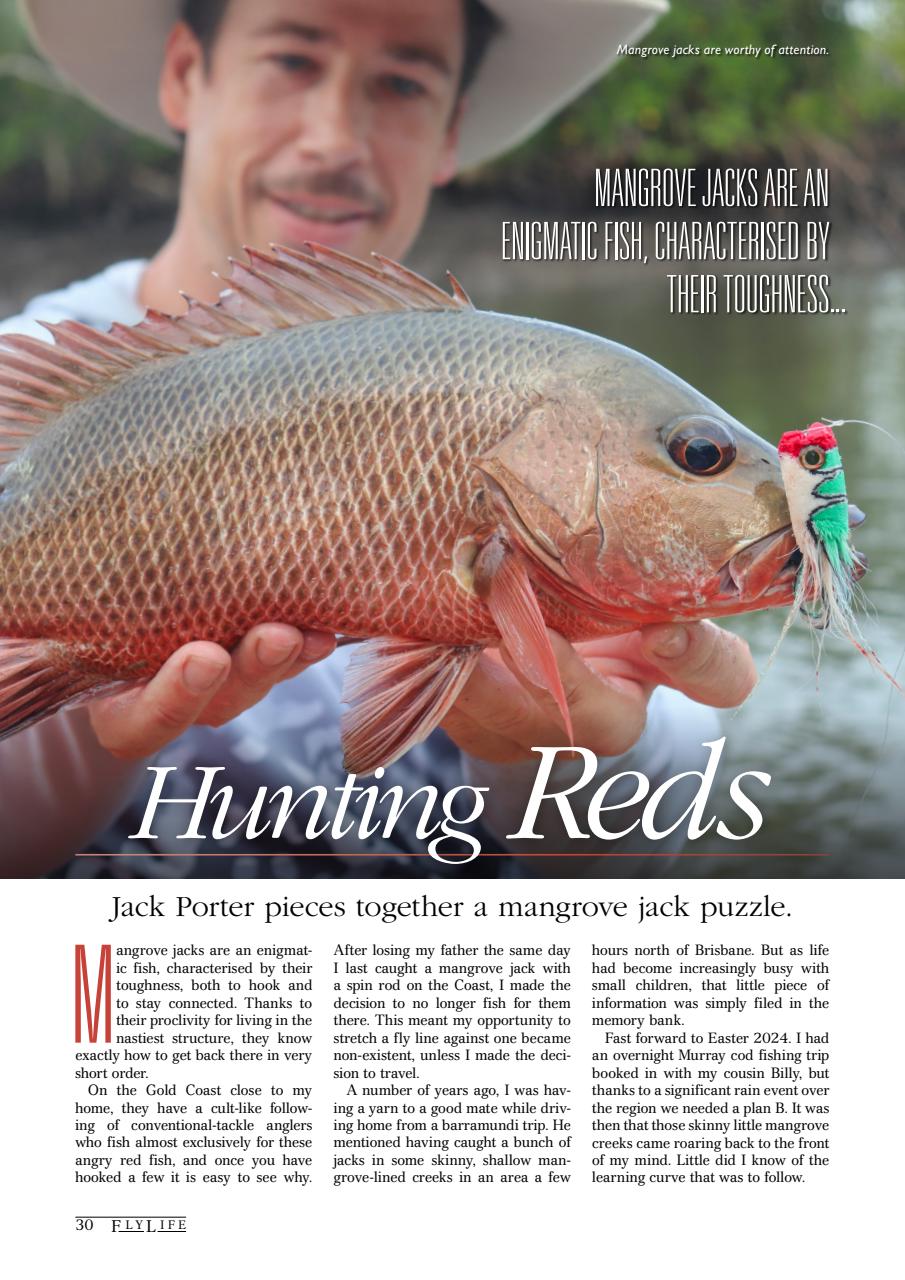 FlyLife Preview Pages