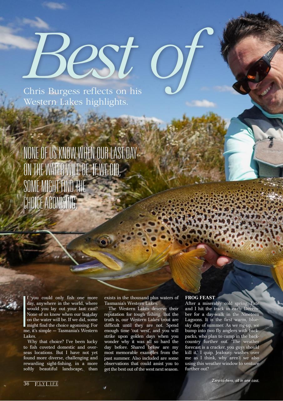 FlyLife Preview Pages