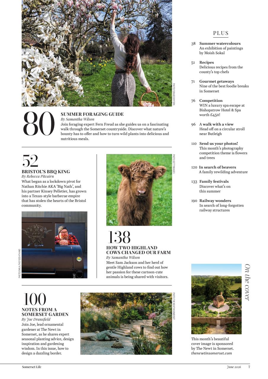 Somerset Life Preview Pages