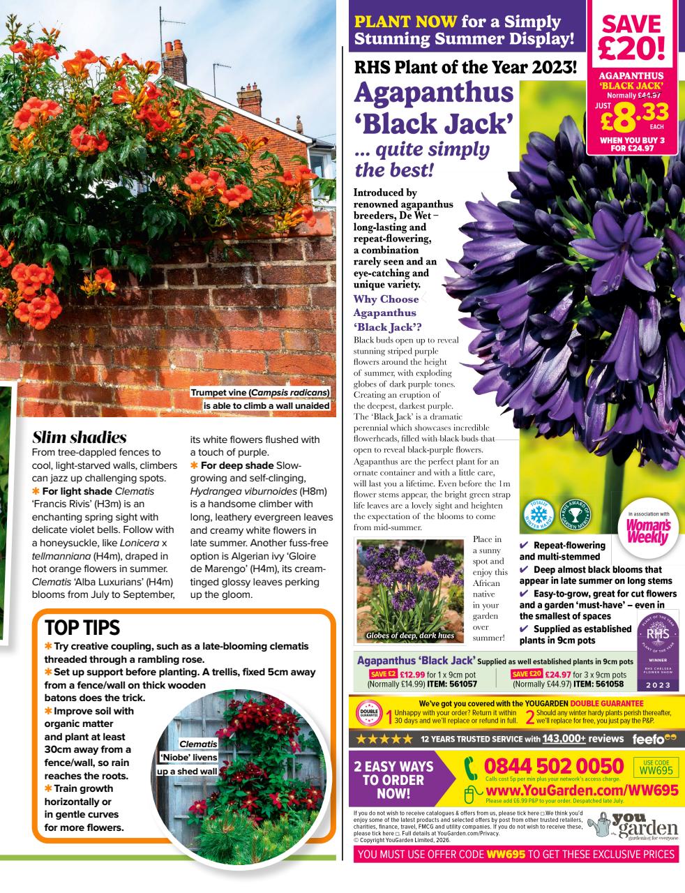 Woman's Weekly Preview Pages