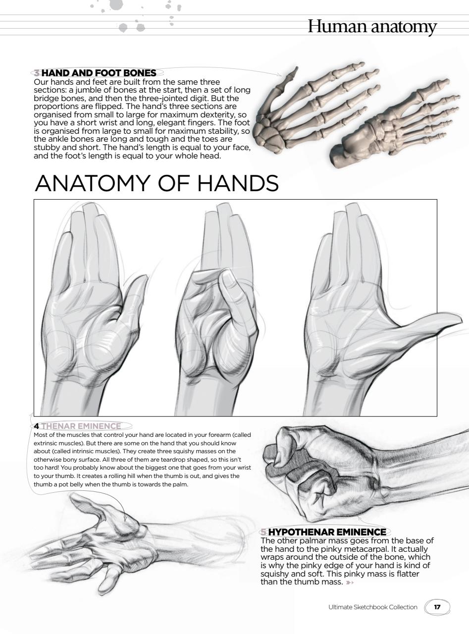Creative Bookazine Preview Pages