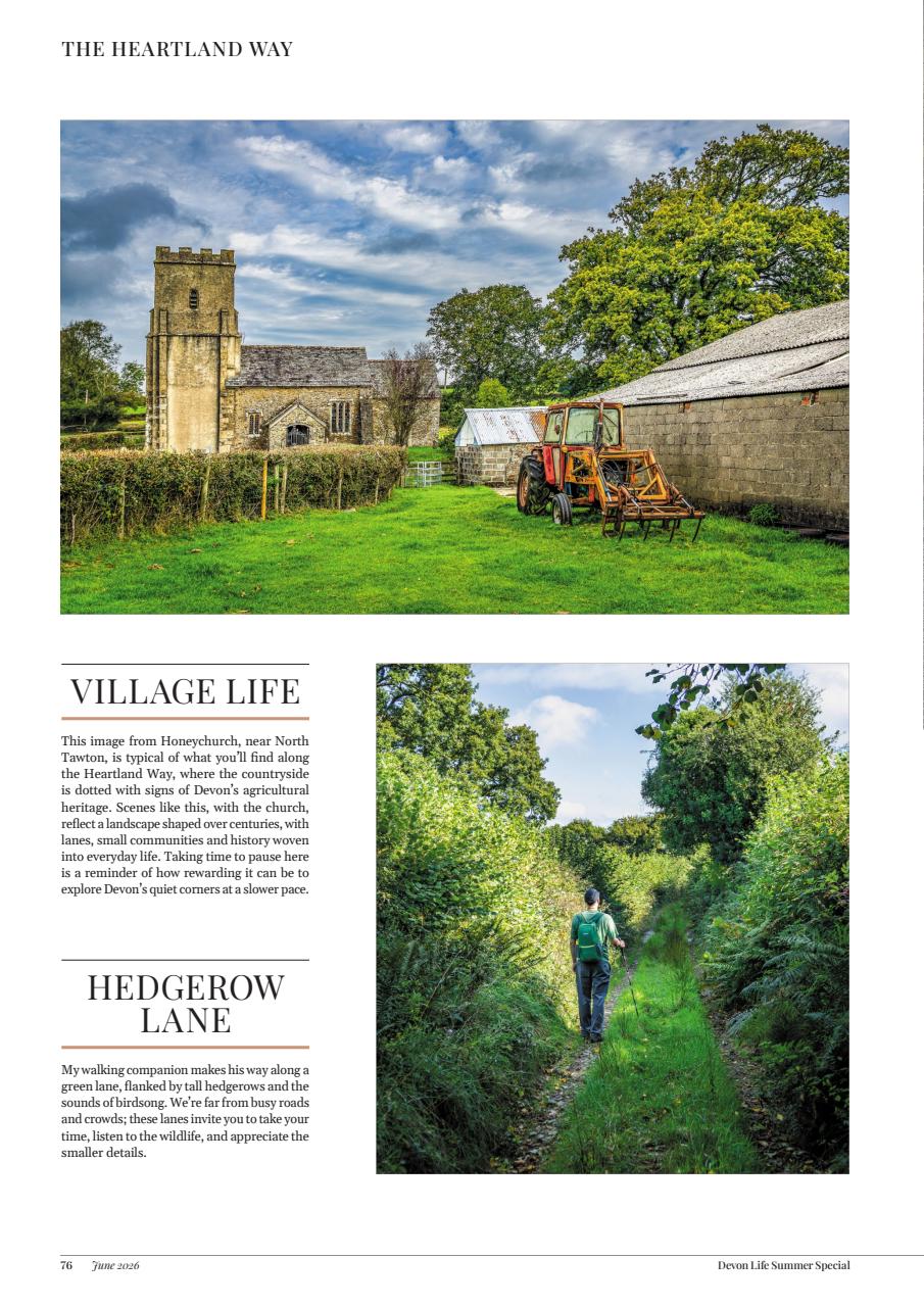 Devon Life Preview Pages