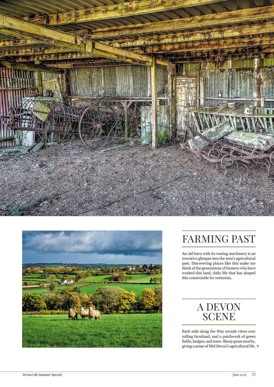 Devon Life Preview Pages