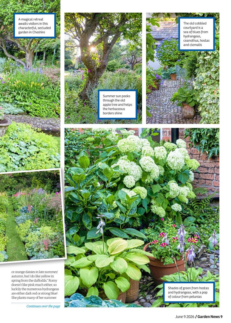 Garden News Preview Pages