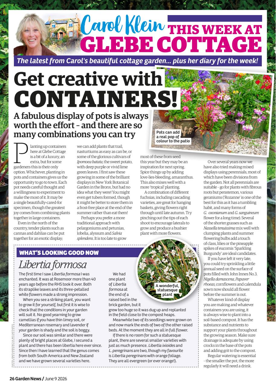 Garden News Preview Pages