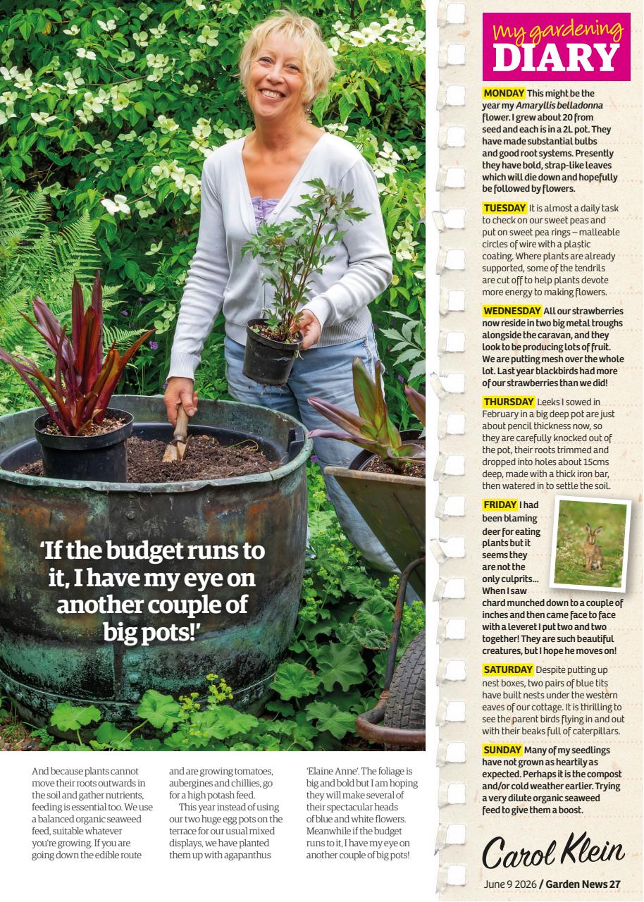 Garden News Preview Pages