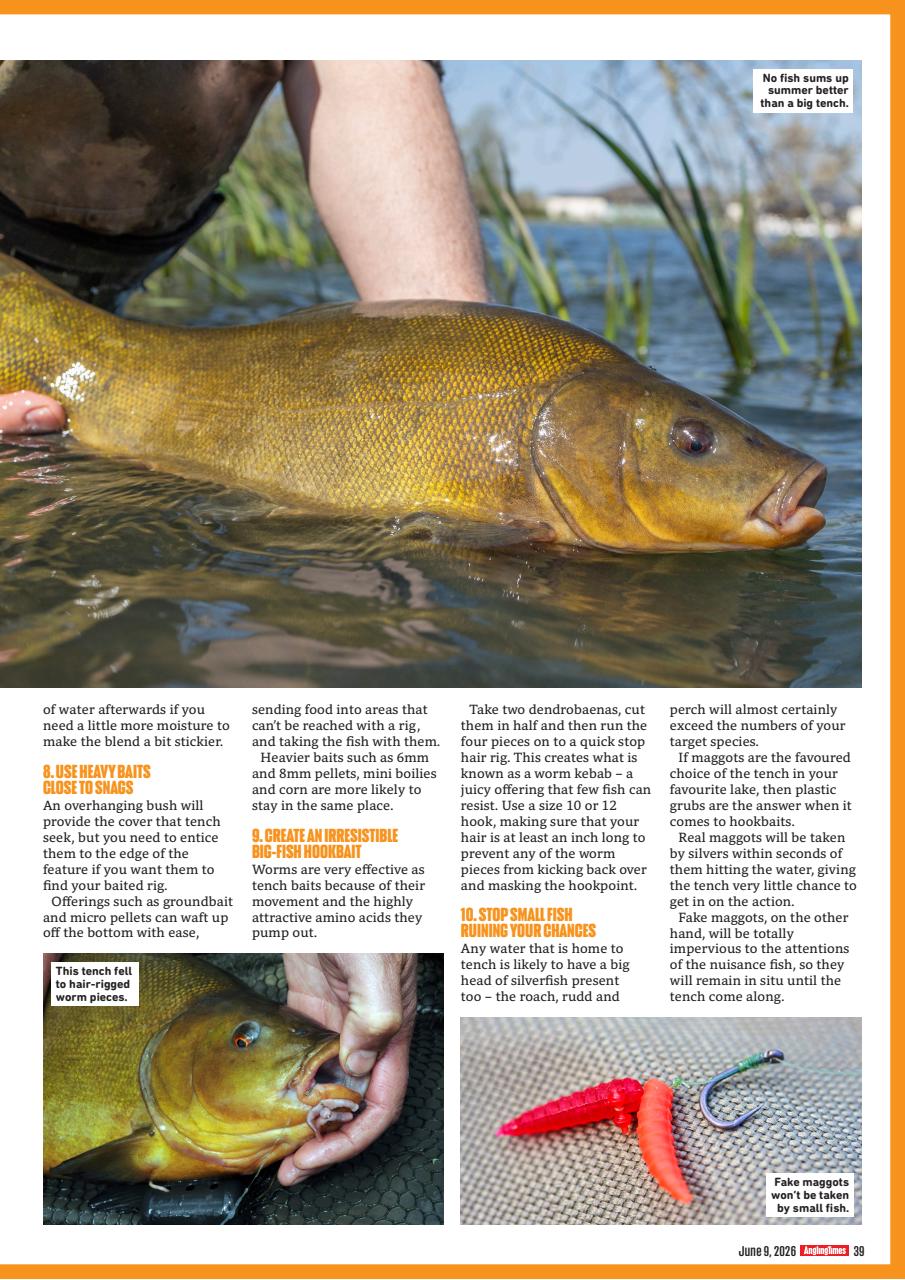 Angling Times Preview Pages