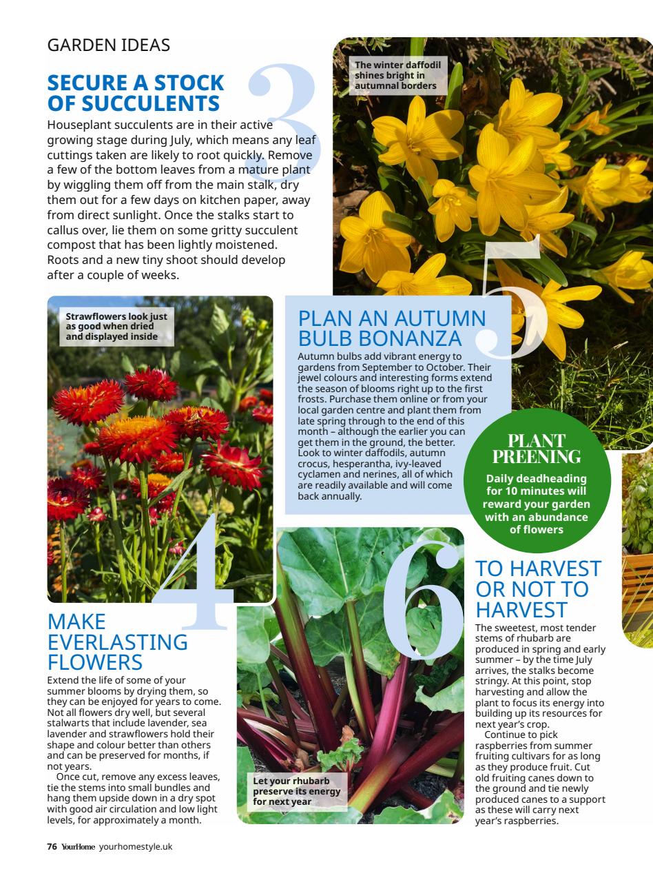 Your Home Magazine Preview Pages