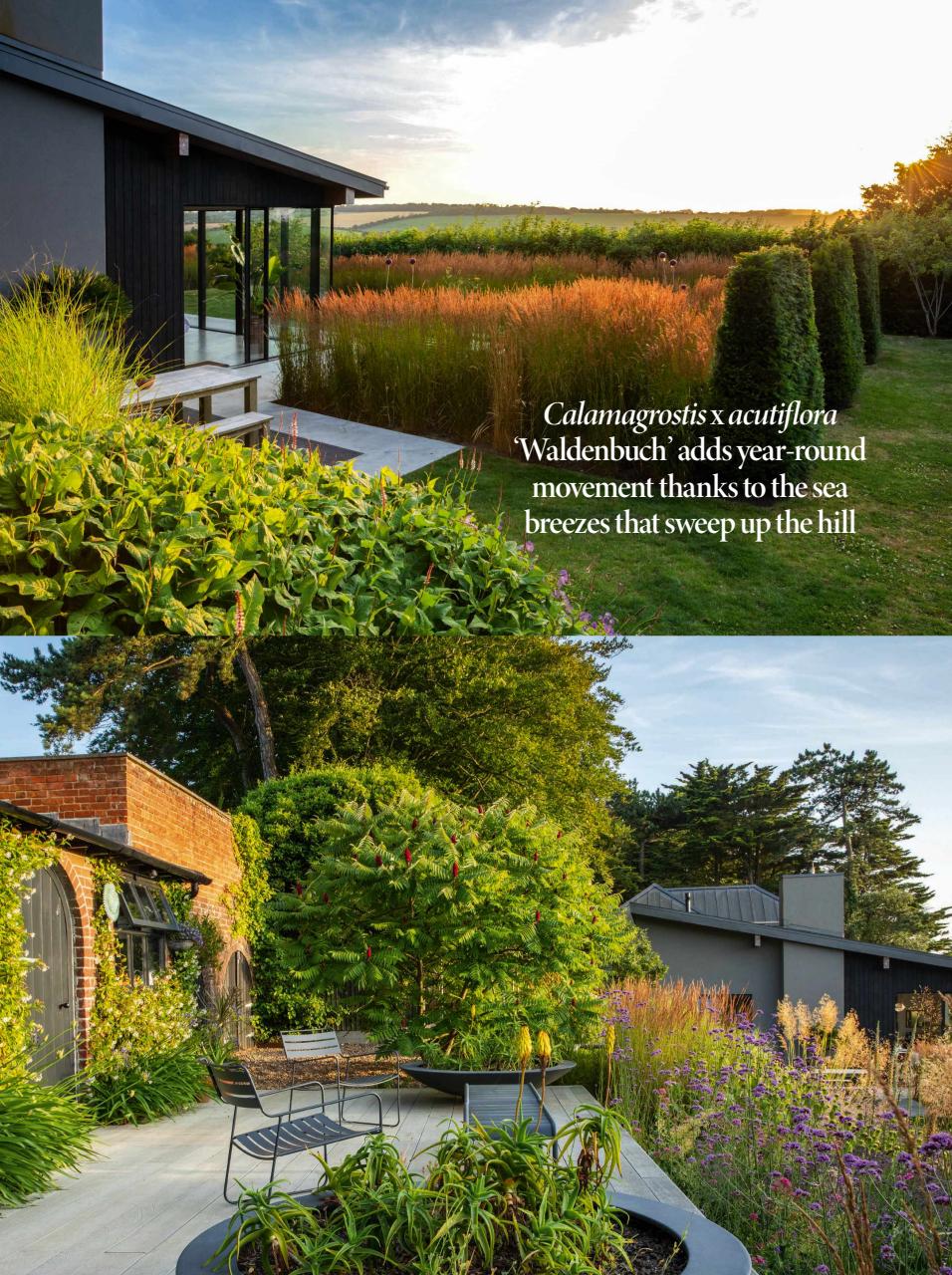 Gardens Illustrated Preview Pages