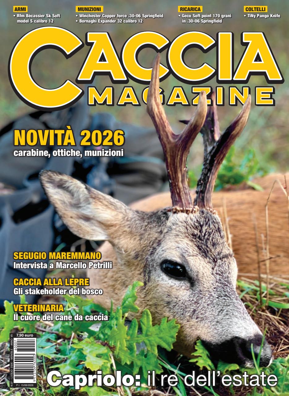 Caccia Magazine Preview Pages