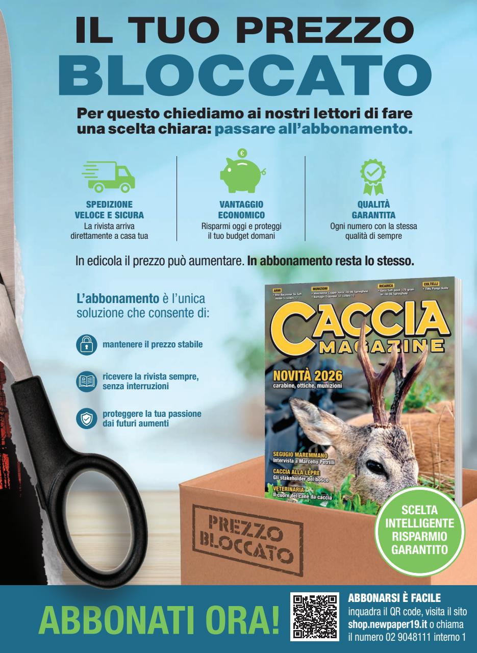 Caccia Magazine Preview Pages