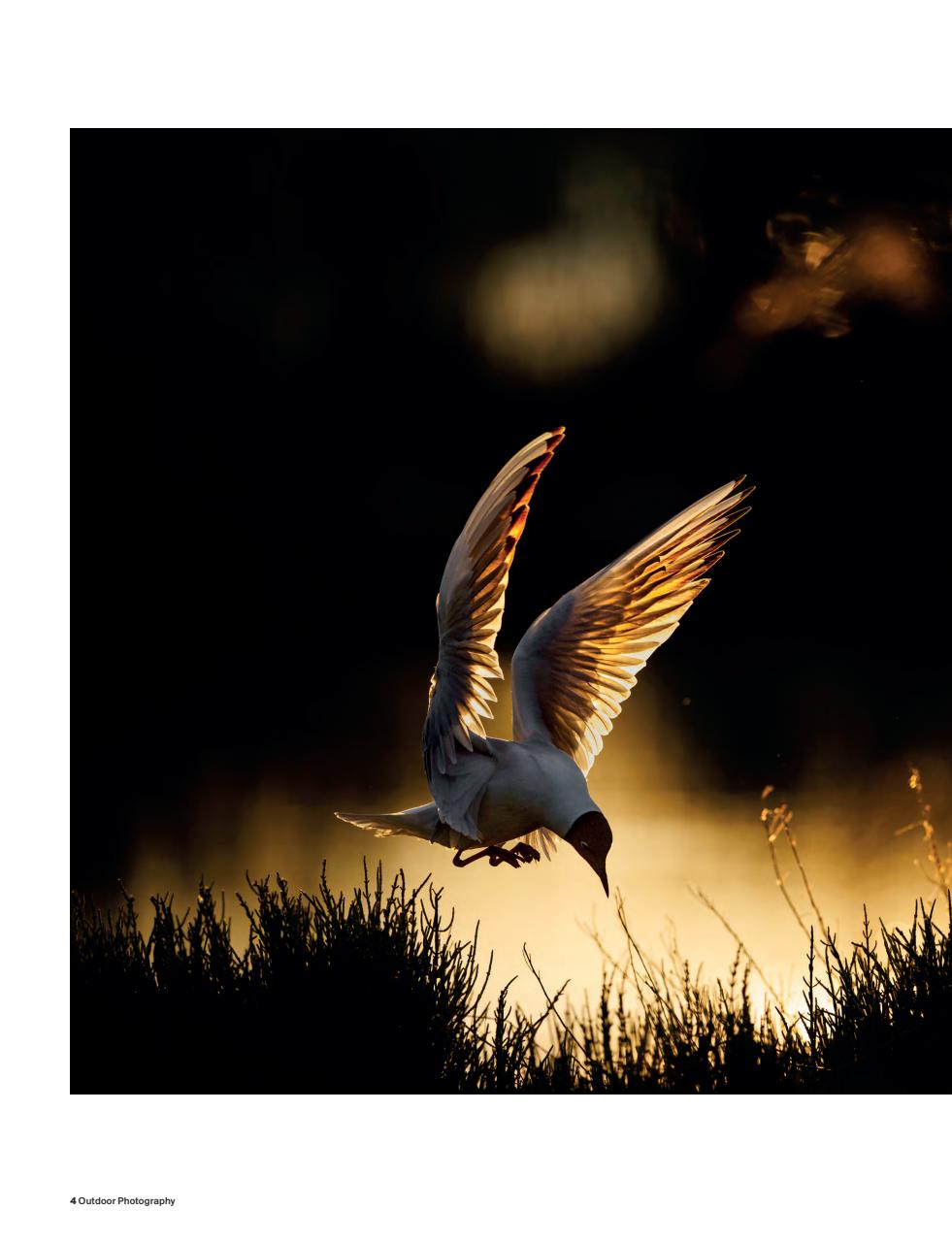 Outdoor Photography Preview Pages