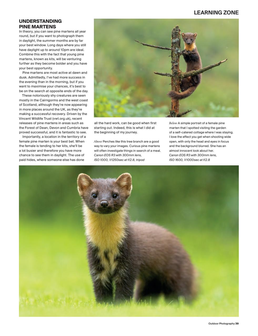 Outdoor Photography Preview Pages