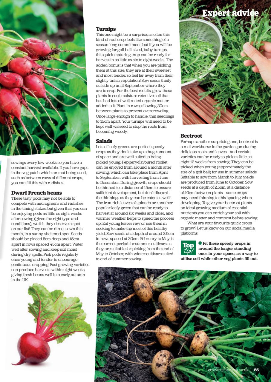 Grow Your Own Preview Pages