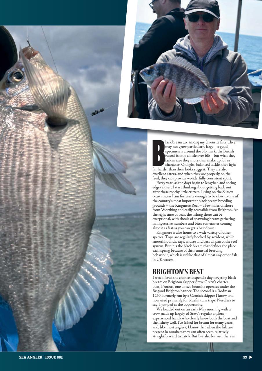 Sea Angler Preview Pages