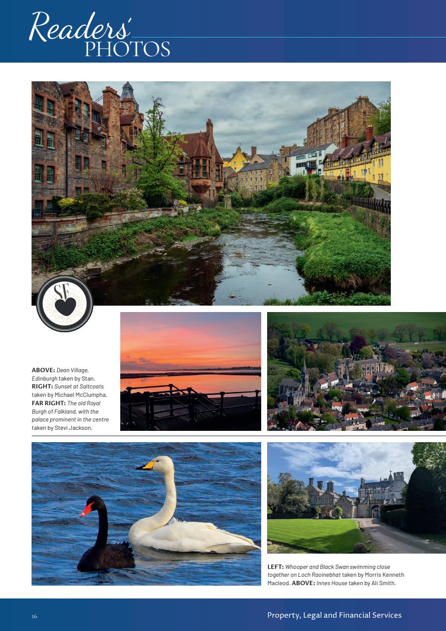 Scottish Field Preview Pages