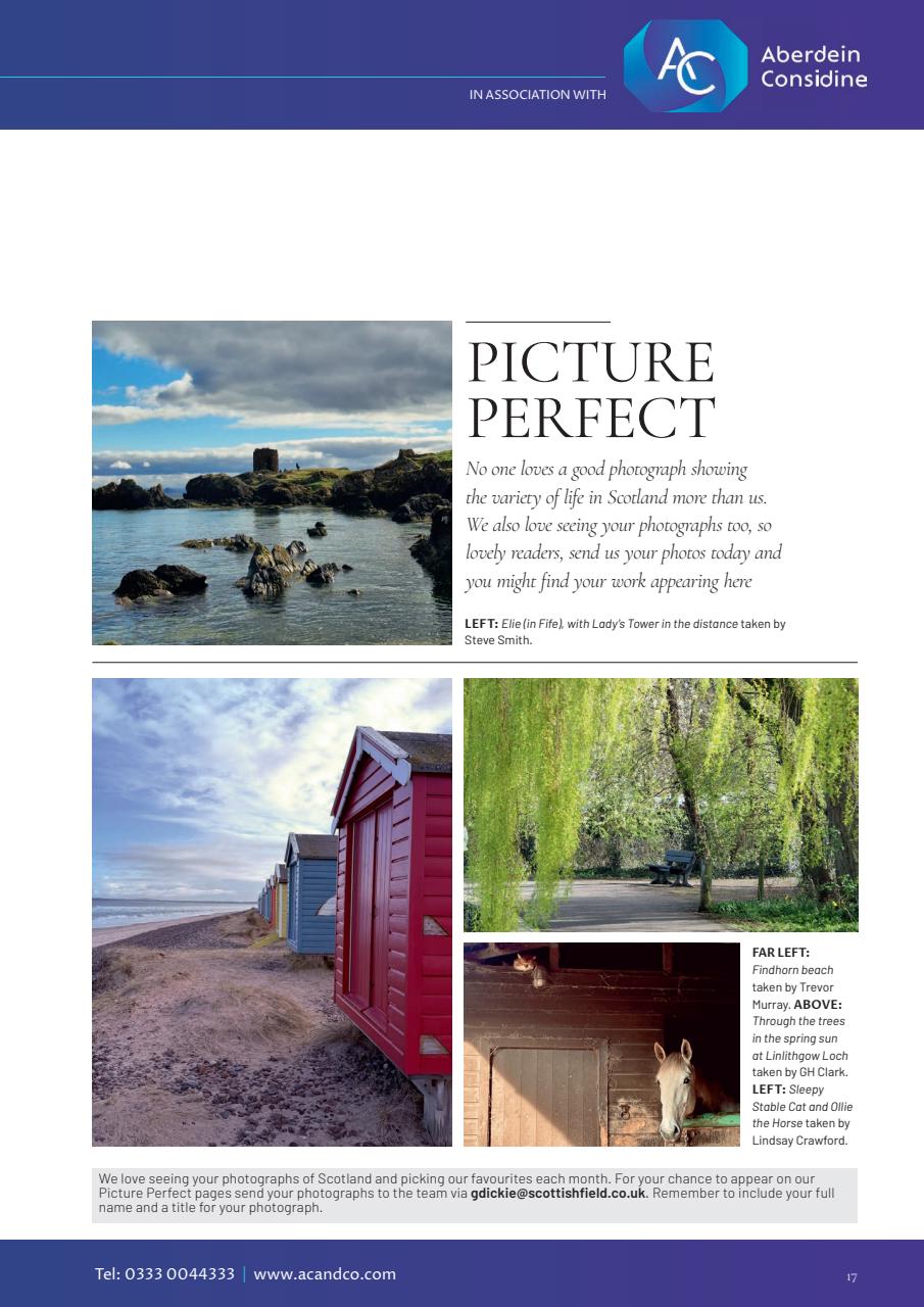 Scottish Field Preview Pages