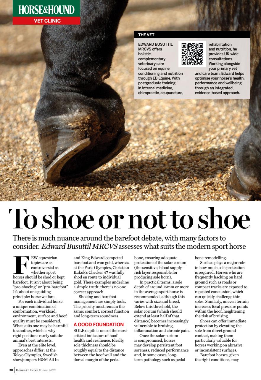 Horse & Hound Preview Pages