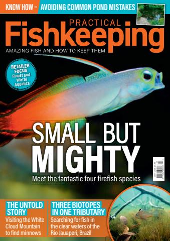 Practical Fishkeeping issue July 2026