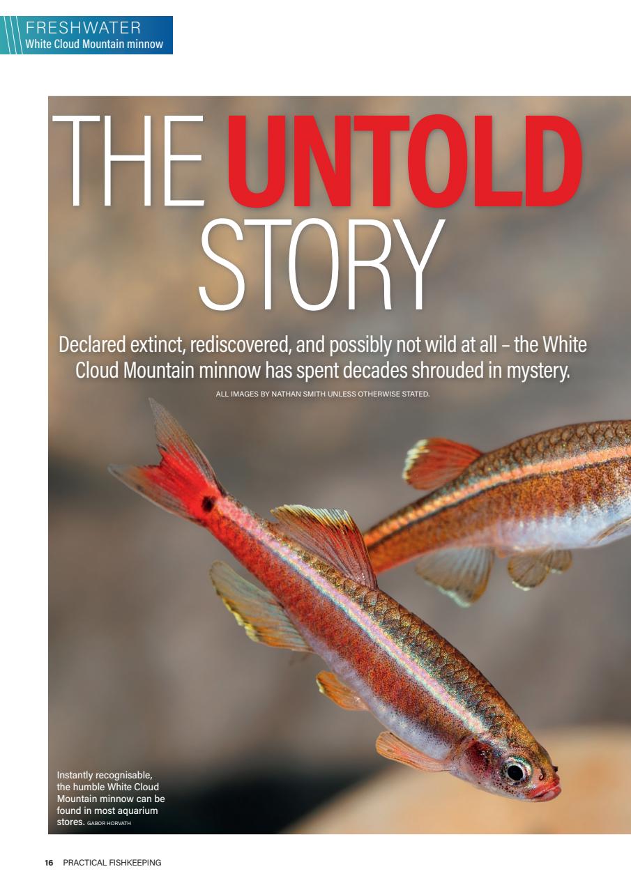 Practical Fishkeeping Preview Pages