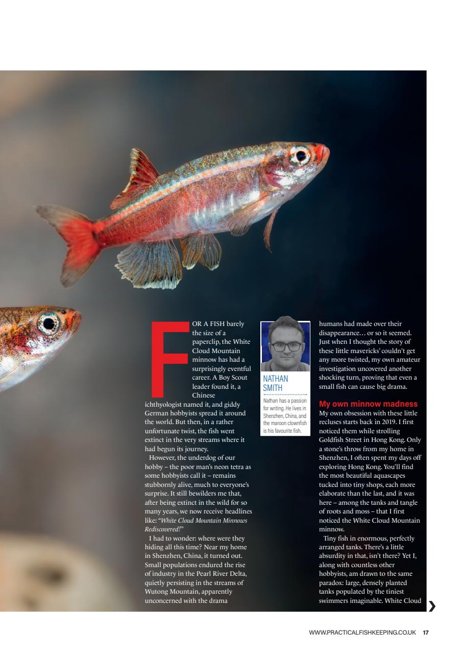 Practical Fishkeeping Preview Pages