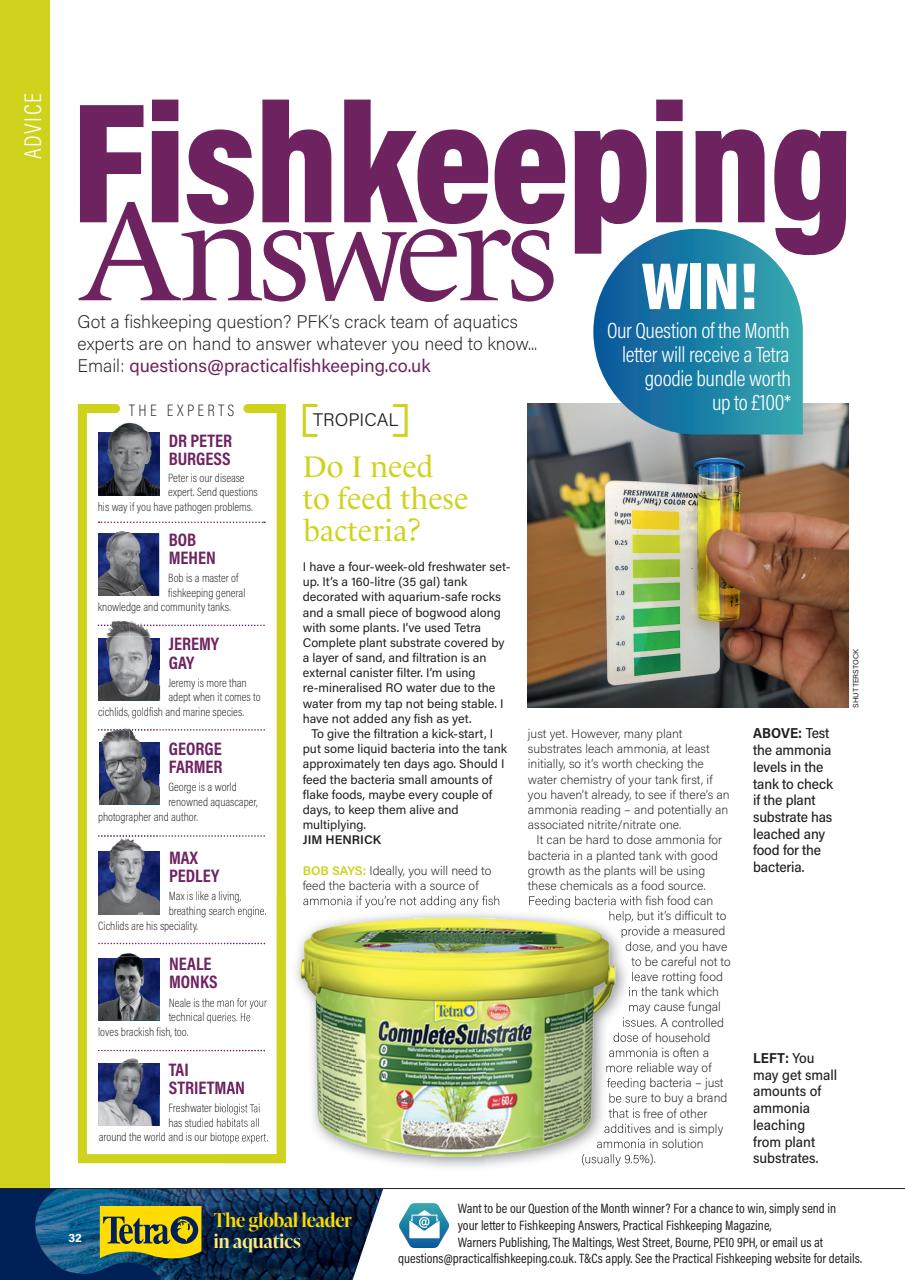 Practical Fishkeeping Preview Pages
